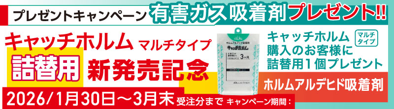 �L���b�`�z�����l�֗p�v���[���g�L�����y�[��